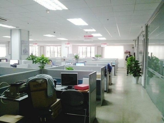 重庆金钗石斛哪家好